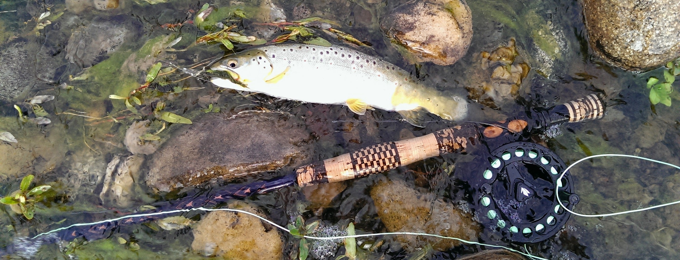 Fly and Spey Handles